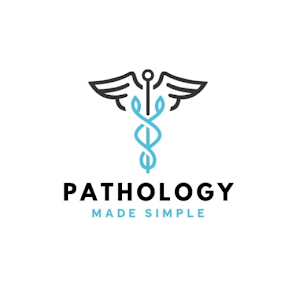 Project poster: Creative & experienced digital design studio